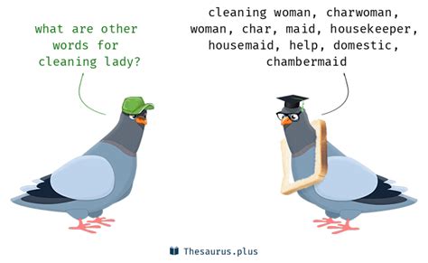 synonym for maid|fancy word for cleaning lady.